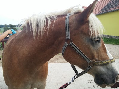Photos of stables &Scaron;tětice