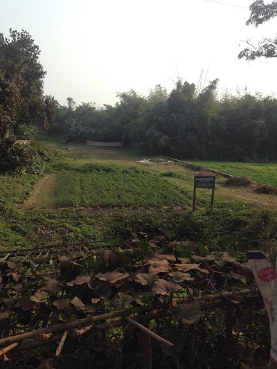 Photos of Sutipara Bus Stop