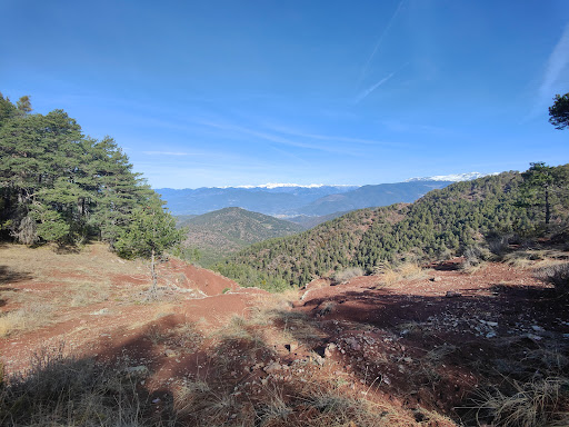 Coll de la Trava (1480m) - Thumbnail