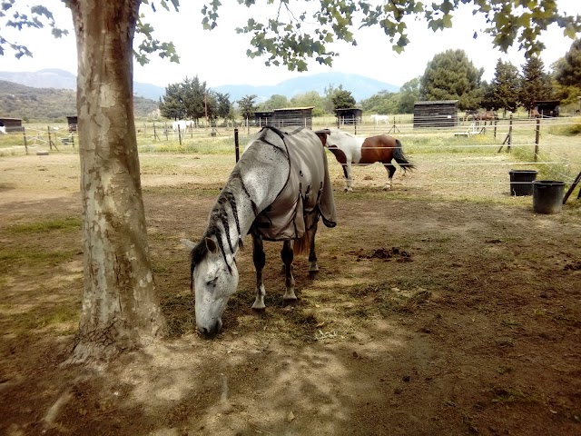 AJACCIO EQUITATION