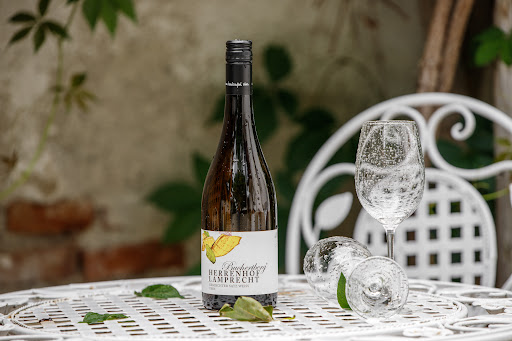 Winemonkeys - Visual