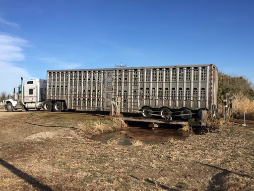 Adrian Trucking Trailer Washout