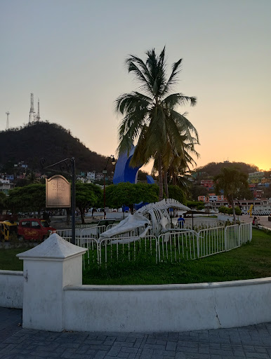 Manzanillo centro - Visual