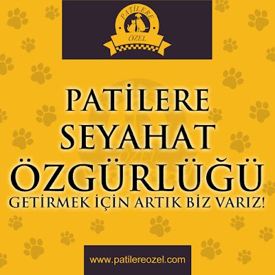 Patilere Özel Pet Taksi Pet Kuaför Pet Eğitim Pet Pansiyon