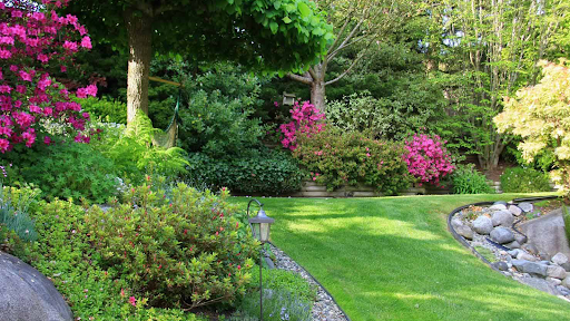 Photo de Leyma Raphael