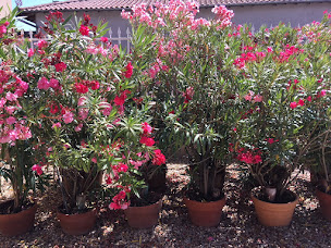 Photo n°14 de Chambres d'hôtes et gîte de la Forge - St Didier sur Chalaronne à Saint-Didier-sur-Chalaronne (Chambre d'hôtes)