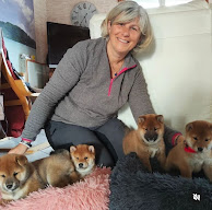 Shiba du Valentonia à La Chapelle-d'Aurec