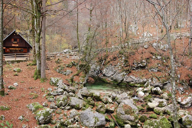 Waterfall Slap Savica