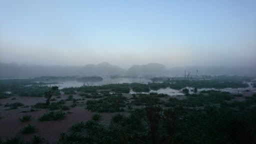 Baxters Wetland Bird Hide - Thumbnail
