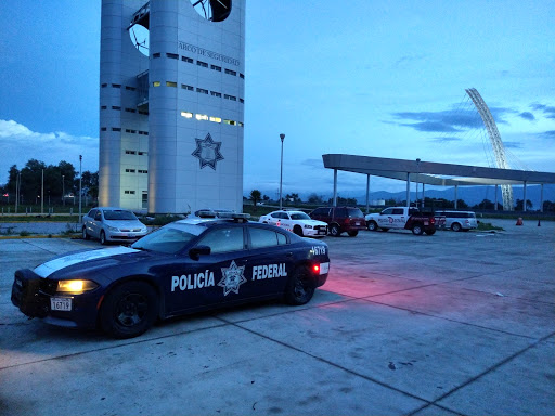 Arco de Seguridad Palmar de Bravo - Thumbnail