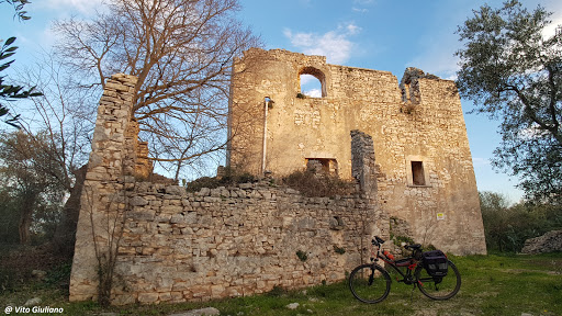 Torre Spoto - Visual