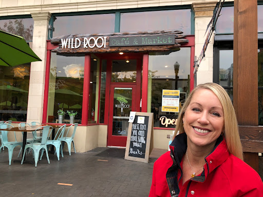 Wild Root - Visual