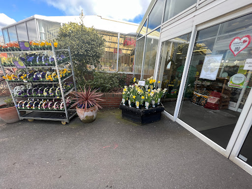 Stringers Garden Centre - Visual