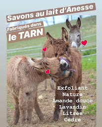 Photo n°17 de Pharmacie de la Renaudie à Albi (Pharmacie)