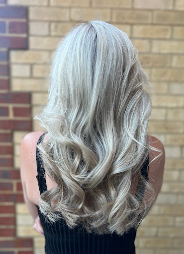 Brighter Roots - Visual