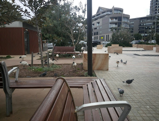 Dee Why Village Plaza - Thumbnail