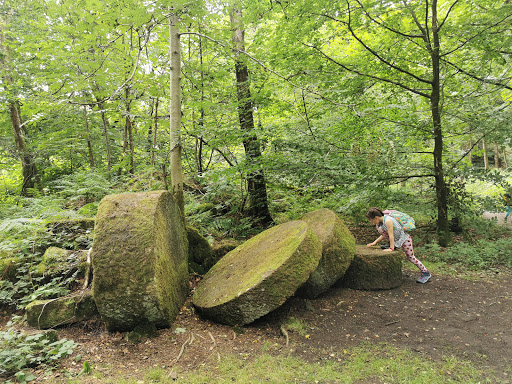 Nine Ladies Stone Circle Gallery - United Kingdom