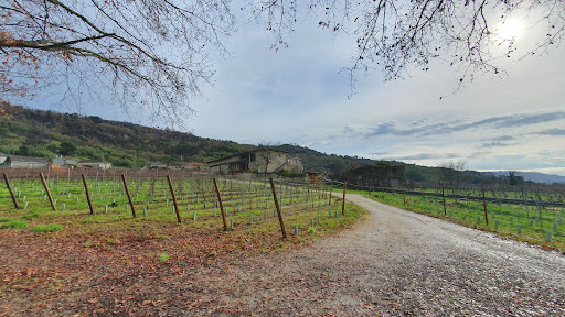 Adegas Valdavia S.L. Gallery - Spain