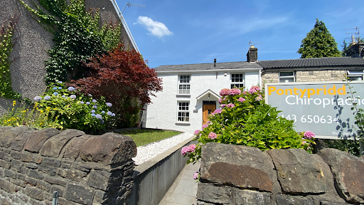 Pontypridd Chiropractic Ltd - Thumbnail