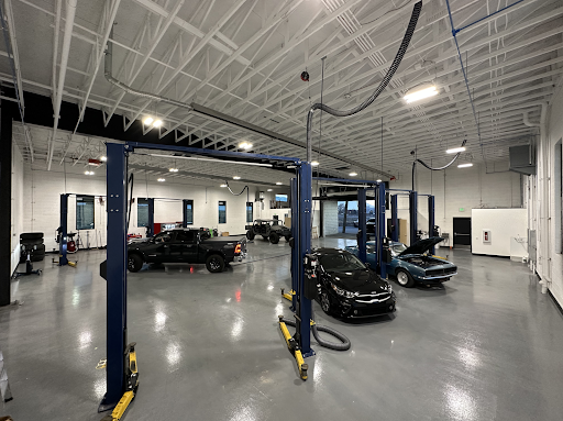 Driven Auto Sales - Visual