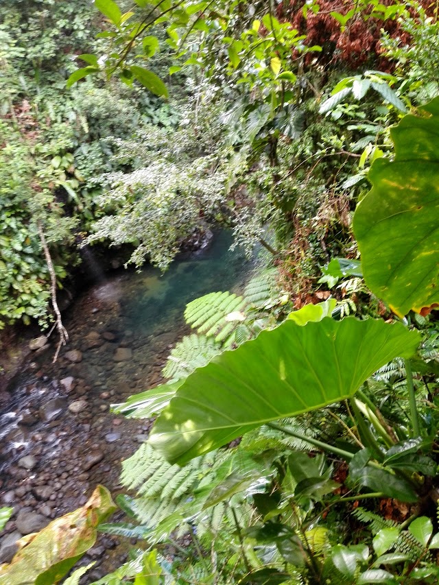 Saut d'eau de Matouba