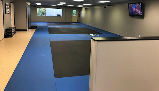 Rio Jitsu - Visual