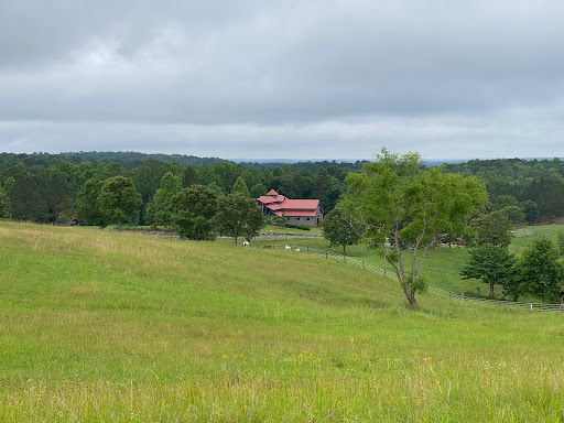 SpringHouse - Visual