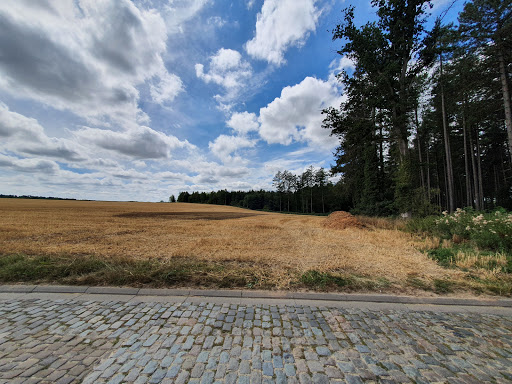 La Roche(Brabant)