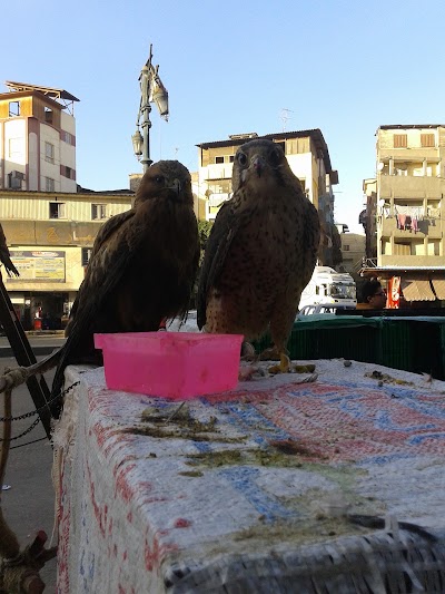 Photos of Abu Ismail Market