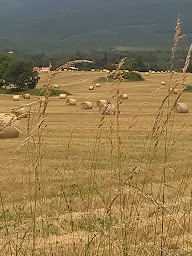 Photo n°3 de Michel DESURVIRE La Fourmi immo - Les Mées, Peyruis, Malijai à Les Mées (Consultant immobilier)