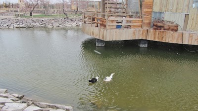 Photos of مجموعه گردشگری و اقامتی اورس شاهرود