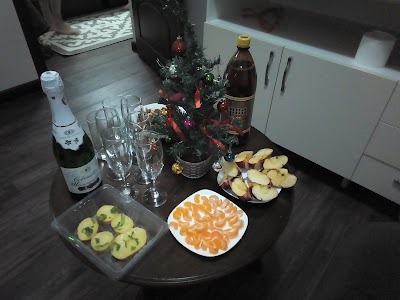 Photos of Gostevoy Dom ''altay''