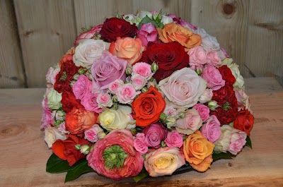 Photos of Bloemen Donck / /