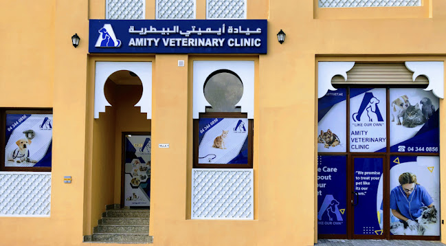 Amity Veterinary Clinic - Dubai