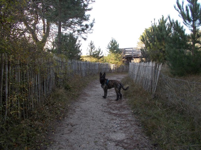 Fort-Mahon-Plage