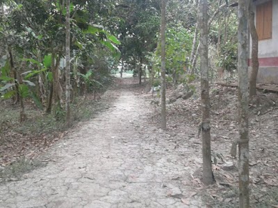 Photos of বাজন পারা খলিল বেপারীর বাড়ী