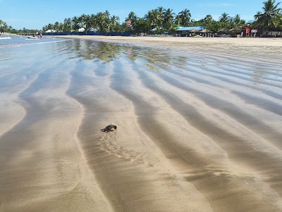 Photos of Shwe Hinn Tha Beach Resort