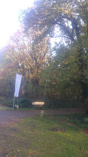 Camping Zwaluwenhof - Thumbnail