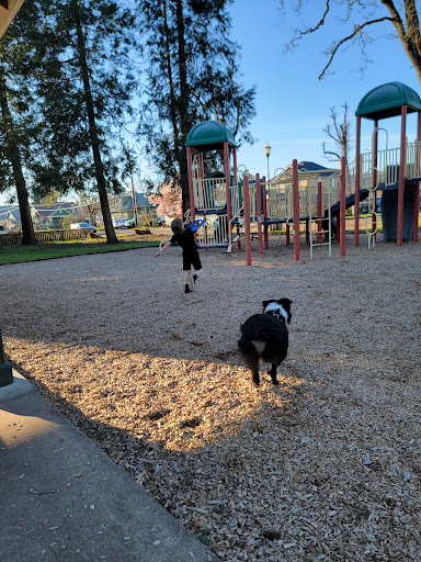 Coiner Park - Visual