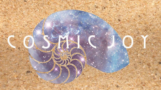 Cosmic Joy Salon