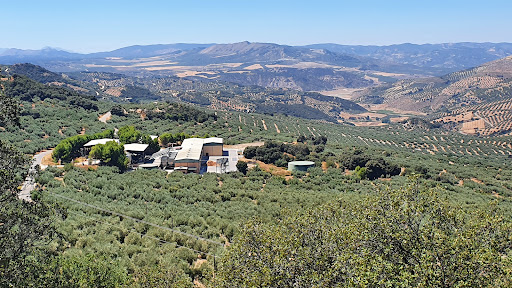 San Lorenzo de Zagra S.C.A.