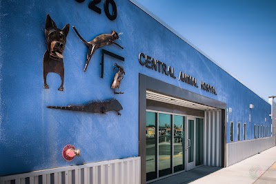 veterinary-care