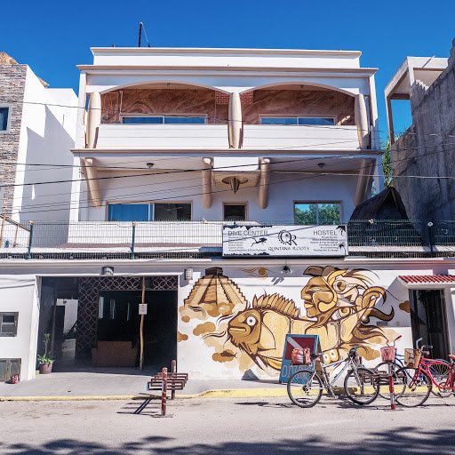 Quintana Roots Hostel
