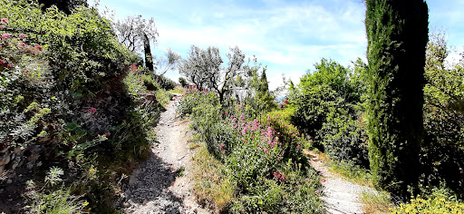 La Promenade Archéologique et Botanique - Thumbnail