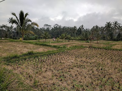 Photos of Tampaksiring Journey
