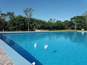 Centro Recreacional Colegio Medico Pucallpa 0