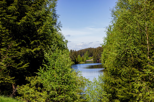 Apfelstädter Grund - Visual