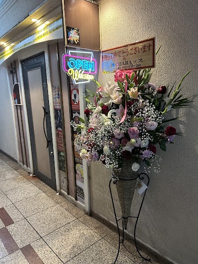 meeple - ミープル - 【 Amusement Bar 】