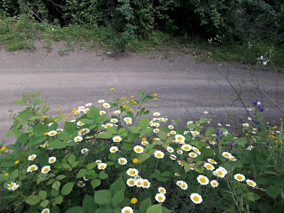 Kirazdere Dam