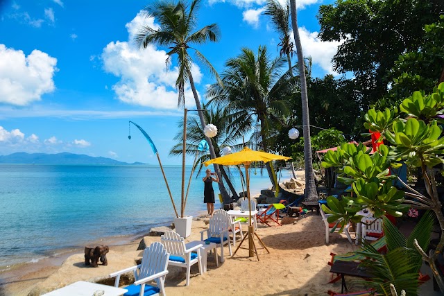 Treehouse Silent Beach Koh Samui